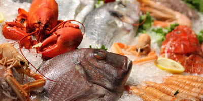 pesce